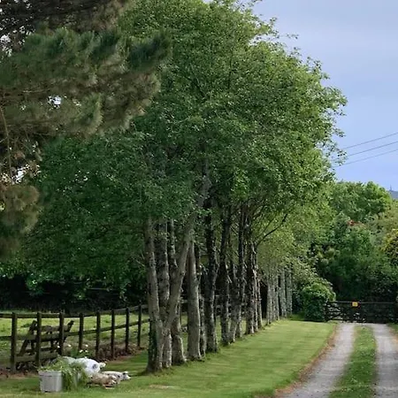 A Unique & Tranquil Smallholding Retreat * レッドラス
